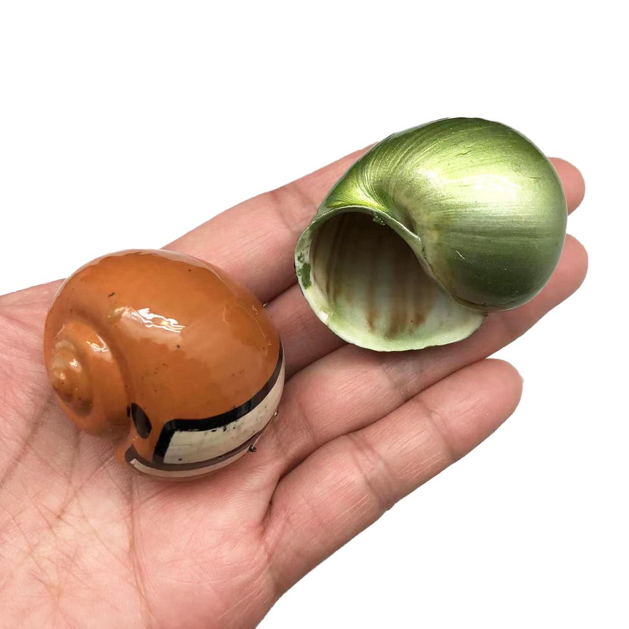 HERMIT SHELL おもちゃ Football Helmet Hermit Crab Shells,AssortedHermit Crab Shells for